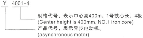 西安泰富西玛Y系列(H355-1000)高压YJTG-355L2-4A/280KW三相异步电机型号说明